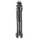Manfrotto 290 Dual Aluminum Tripod: Picture 2 thumbnail