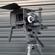 Berkey System Shoulder Rig: Picture 4 thumbnail