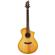 Breedlove Artista: Picture 1 thumbnail
