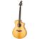 Breedlove Artista: Picture 3 thumbnail