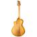 Breedlove Artista: Picture 4 thumbnail