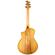 Breedlove Artista: Picture 5 thumbnail