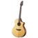 Breedlove Discovery Concert CE: Picture 1 thumbnail