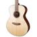 Breedlove Discovery S Concert: Picture 3 thumbnail