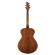 Breedlove Discovery Concert: Picture 2 thumbnail