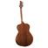Breedlove Discovery Concert: Picture 3 thumbnail