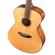 Breedlove Discovery Concerto: Picture 4 thumbnail
