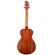Breedlove Discovery S Companion: Picture 2 thumbnail