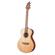 Breedlove Discovery S Companion: Picture 4 thumbnail