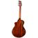 Breedlove Discovery S Companion: Picture 1 thumbnail