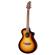 Breedlove Discovery S Companion: Picture 4 thumbnail