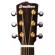 Breedlove Performer: Picture 6 thumbnail