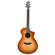 Breedlove Premier: Picture 4 thumbnail