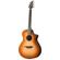 Breedlove Premier: Picture 1 thumbnail