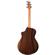 Breedlove Premier: Picture 2 thumbnail