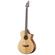 Breedlove Pursuit Concert Bass CE: Picture 1 thumbnail