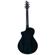 Breedlove Rainforest S Concert: Picture 2 thumbnail