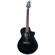 Breedlove Rainforest S Concert: Picture 4 thumbnail