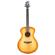 Breedlove Signature: Picture 10 thumbnail