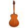Breedlove Signature: Picture 2 thumbnail