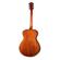 Breedlove Signature: Picture 3 thumbnail
