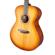 Breedlove Signature: Picture 5 thumbnail
