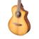 Breedlove Signature: Picture 2 thumbnail