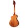 Breedlove Signature: Picture 5 thumbnail
