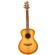 Breedlove Signature: Picture 1 thumbnail