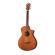 Breedlove Wildwood: Picture 1 thumbnail
