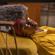 Bose QuietComfort Earbuds II: Picture 17 thumbnail