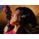 Bose QC Ultra Earbuds: Picture 6 thumbnail