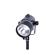 Boling BL-50C: Picture 5 thumbnail