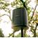 Bose S1 Pro+: Picture 12 thumbnail