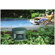 Bose Free Space 51 Environmental Speaker...: Picture 1 thumbnail