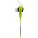 Bose SoundSport for Apple: Picture 1 thumbnail