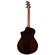 Breedlove Premier Concert: Picture 2 thumbnail