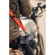 BlackRapid Cross Shot Breathe Strap: Picture 6 thumbnail