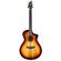 Breedlove Oregon Concert: Picture 1 thumbnail