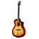 Breedlove Oregon Concert: Picture 5 thumbnail