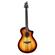 Breedlove Oregon Concert: Picture 6 thumbnail