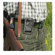 Bracketron Sport Case with Belt Clip for iPhone, Smartphones, iPod Touch & MP3 Player, Black: Picture 6 thumbnail