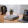 Burson Audio Conductor 3X: Picture 3 thumbnail