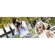 BlackRapid RS-W1B, Women's Strap, Curved Ergonomic with Connect R-2 and Fasten R-3 - Ballistic Nylon: Picture 2 thumbnail