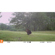 Bushnell Core S-4K: Picture 8 thumbnail