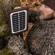 Bushnell Trail Camera Solar Panel: Picture 3 thumbnail