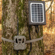 Bushnell Trail Camera Solar Panel: Picture 5 thumbnail