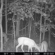 Bushnell Sweet Spot Blend: Picture 5 thumbnail