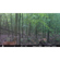 Bushnell Sweet Spot Blend: Picture 7 thumbnail