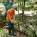Bushnell Red Zone: Picture 2 thumbnail
